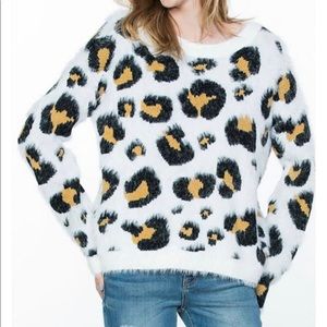 Scoop Neck Leopard Print Sweater